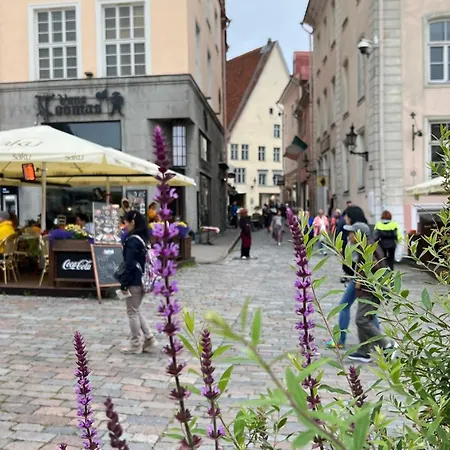 Korter Luxury 2bd In The Heart Of Medieval Old Town