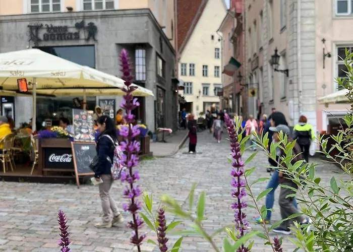 Apartment Luxury 2bd In The Heart Of Medieval Old Town